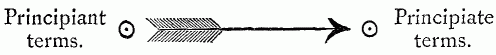 Principiant terms ---------------> Principiate terms