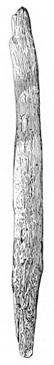 Implement for Throwing. Length, 67 cm.