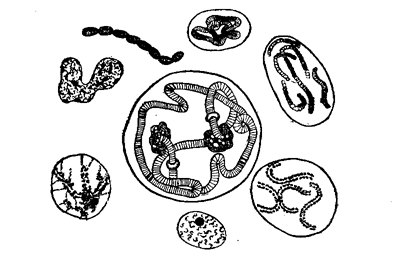FIG. 26.