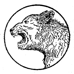 line drawing, animal head line drawing, animal head