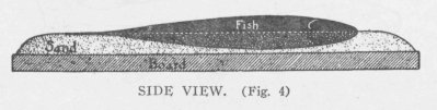 SIDE VIEW. (Fig. 4)