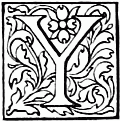 Y