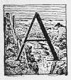 A A