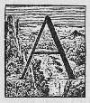 A A