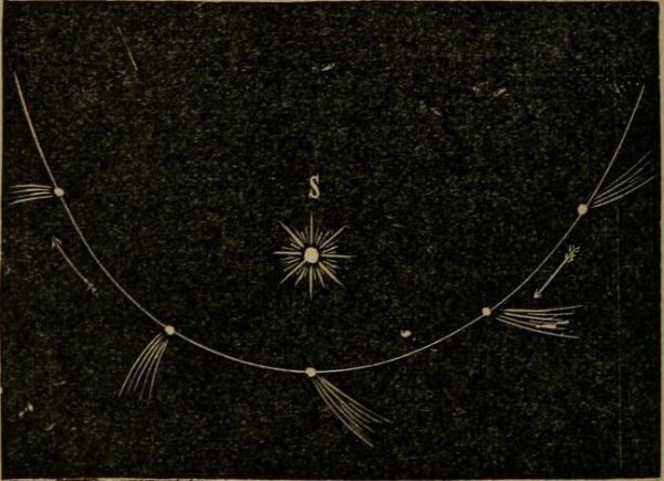 Orbit of a Comet