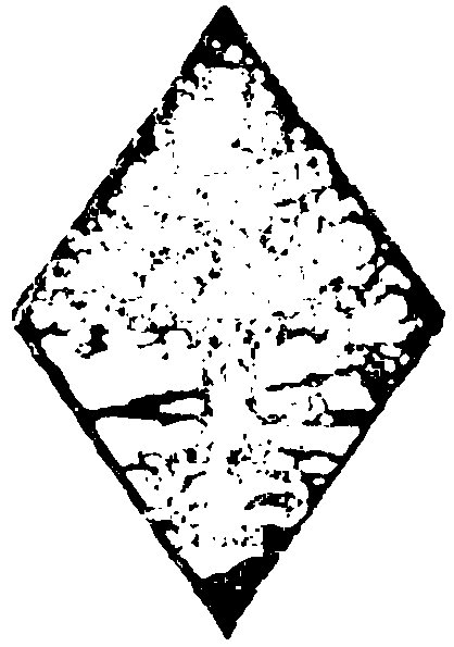 [Logo]