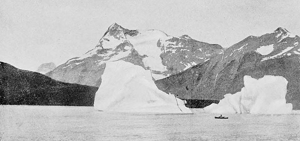 icebergs