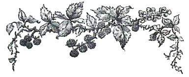 image010