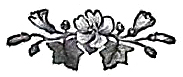 image008
