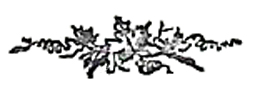 image027