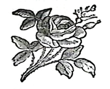 image010