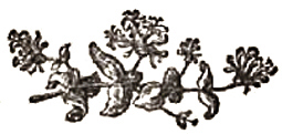 image003