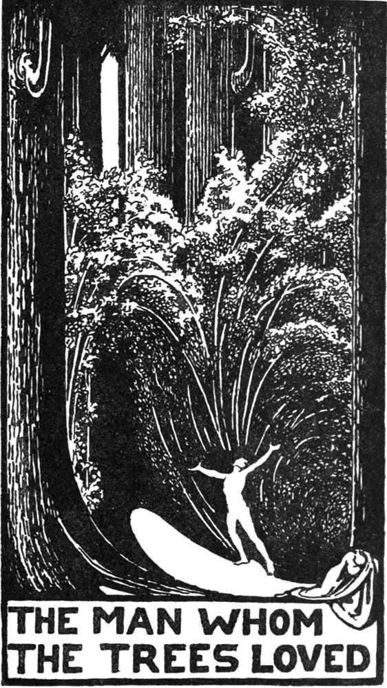 frontispiece