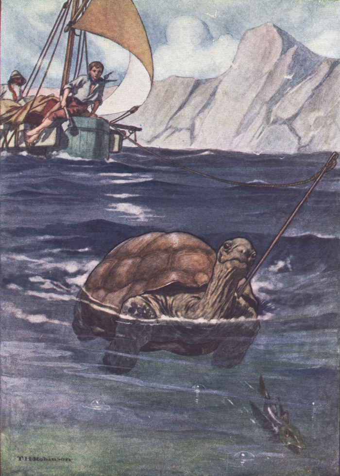 turtle