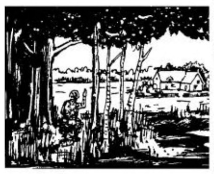 Scouts in field.