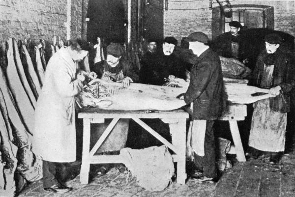 A DRASTIC INSPECTION

Of Refrigerated Chinese Pork at the Port of Liverpool.