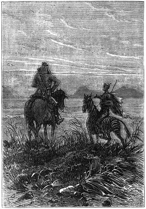 &raquo;De gevraagde vlakte, kolonel.&rdquo; (Blz. 43.)