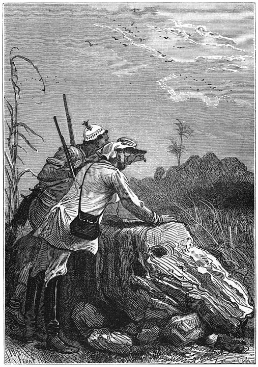 &raquo;Het is, zooals u ziet, een prachtig dier.&rdquo; Blz. 126.