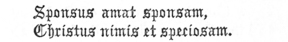 
Sponsus amat sponsam,

Christus nimis et speciosam.