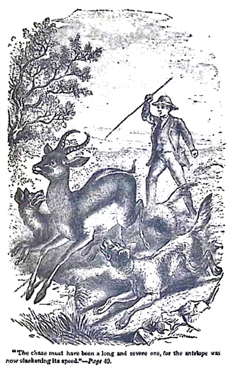 image005