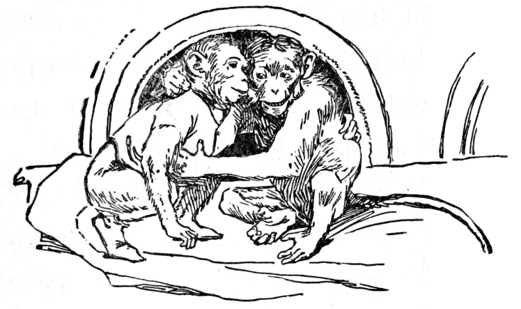 Beppo